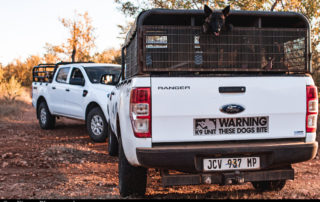 Photo 8 Vehicles